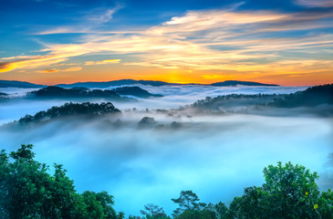 Sunrise over hillside as the sun rising from horizon reflect light bright yellow sky. Below cloudy mist covered valleys flooded pine forests create impressive beauty highlands in morning.