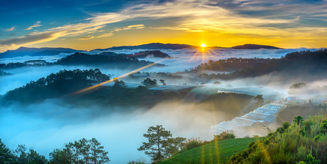 Naklejka na ściany i meble Sunrise over hillside as the sun rising from horizon reflect light bright yellow sky. Below cloudy mist covered valleys flooded pine forests create impressive beauty highlands in morning.