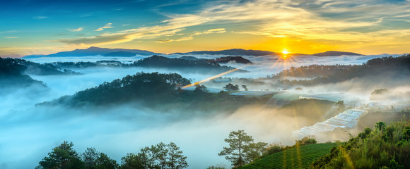 Sunrise over hillside as the sun rising from horizon reflect light bright yellow sky. Below cloudy mist covered valleys flooded pine forests create impressive beauty highlands in morning.