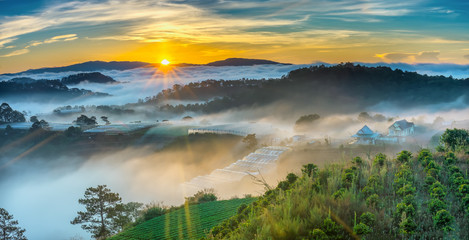 Sunrise over hillside as the sun rising from horizon reflect light bright yellow sky. Below cloudy mist covered valleys flooded pine forests create impressive beauty highlands in morning.