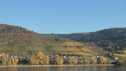 Fototapeta na wymiar Weinberge bei Lorch am Rhein
