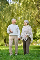 beautiful caucasian senior couple walking