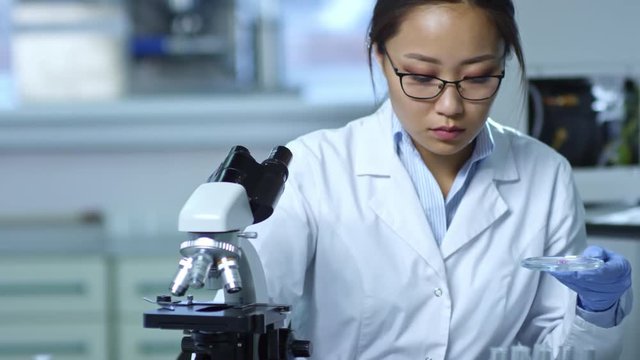 Medium shot of young Asian woman in lab coat, glasses and rubber gloves working in laboratory and using microscope