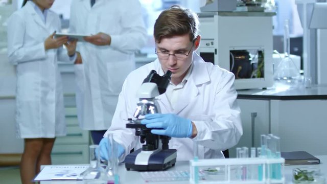 Young man in glasses, lab coat and rubber gloves sitting at table in laboratory and studying plant specimen under microscope