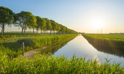 Photo sur Plexiglas Canal Canal à la campagne à la lumière du lever du soleil au printemps