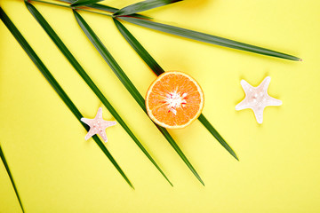 Orange fruit, starfish and palm leaves