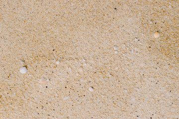 sand texture and background