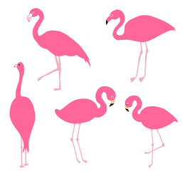 Pink flamingo set, vector illustration.