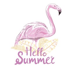 Pink flamingo vector illustration