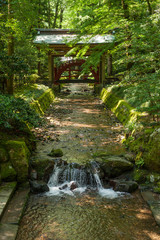 Fototapeta na wymiar Yahiko shrine in Niigata Japan