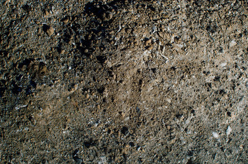 Ashes after burning plants and trees