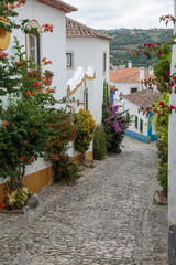 Old Narrow Street in Portuguese Town