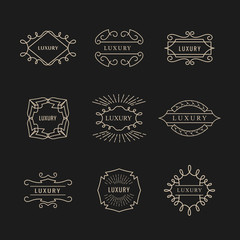 set luxury logo vintage badge design retro vector