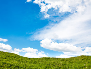 Fototapeta premium Green field with blue sky