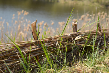 wicker fence on the river bank