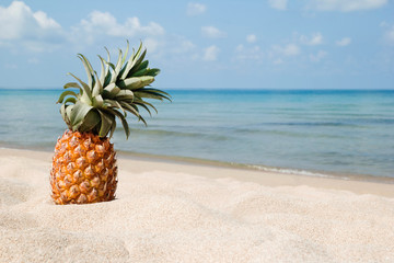 Summer tropical landscape with pineapple on the white sand beach on the background of blue sea and sky, with copy space.