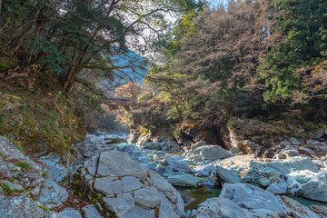 祖谷川とかずら橋