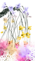 Branch of blossom sakura tree