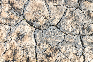 Texture of the dried up cracked earth in the summer. The concept of drought and the absence of rain.