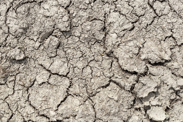 Dry cracked ground for use as a background