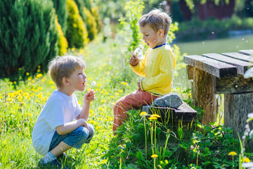 Cute brothers sitting near wood bridge and having fun in nature. Children outdoors. Kid boy and...