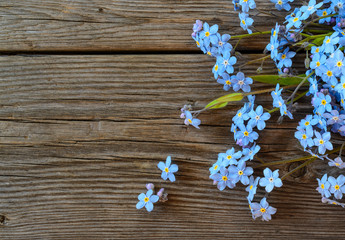 Forgetmenot flowers on a wooden background