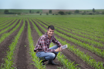 Farmer with tablet in corn field in spring