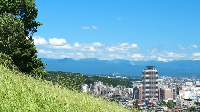 丘から眺める住宅街