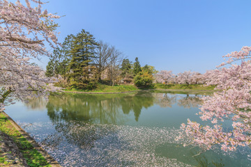 春の新庄城跡の風景