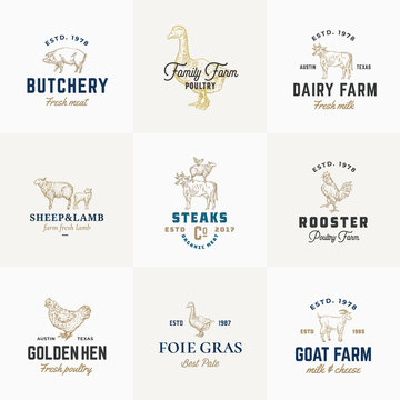 Premium Quality Retro Cattle and Poultry Vector Signs or Logo Templates Set. Hand Drawn Vintage Domestic Animals and Birds Sketches with Classy Typography, Pig, Cow, Chicken, etc.