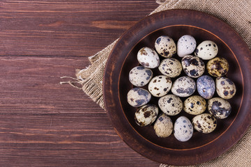 Quail raw eggs