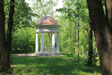 architectural, column, Architecture, building, exterior, built, structure, day, Field, forest,...