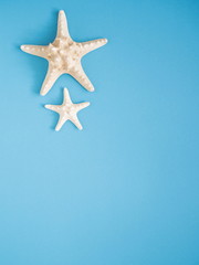 Fototapeta na wymiar Summer holidays. Starfish, seashells on a light blue background. Sea souvenirs. Summer concept. Flat lay, top view, copy space 