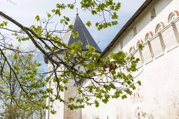 Savvino-storozhevsky monastery. Zvenigorod. Russia
