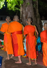 Feeding the monks. The ritual is called Tak Bat, Luang Prabang, Laos. Vertical.