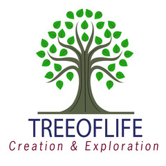 Tree logo isolated on a white background
