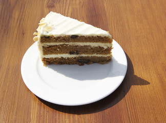 Honey cake for holidays, fresh cake isolated on blur background, delicious cake, piece of cake 