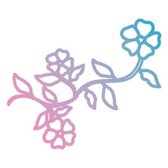 flower and leafs decorative icon vector illustration design