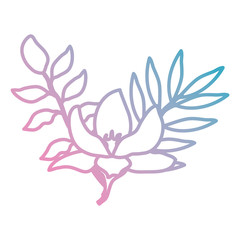 flower and leafs decorative icon vector illustration design