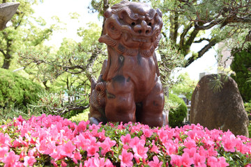 狛犬とつつじ