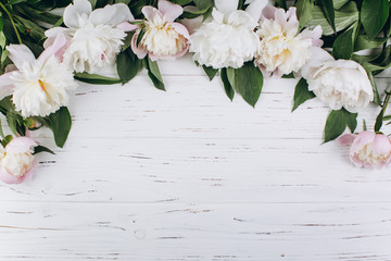 White peonies on a wooden background. Copy space and flat lay.