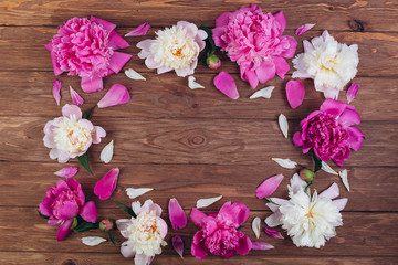 Pink and white peonies with petals on a wooden background. Copy space and flat lay.