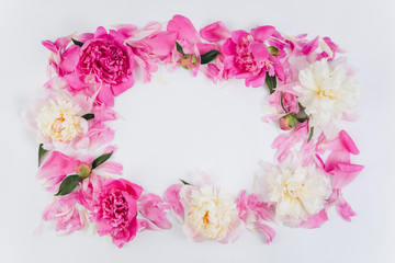Floral frame wreath made of pink and white peonies flower buds. Flat lay, top view.