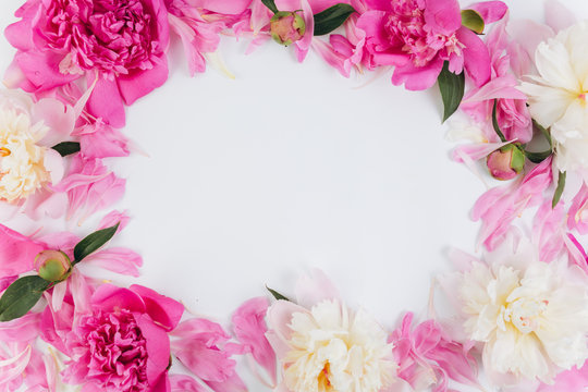 Floral frame wreath made of pink and white peonies flower buds. Flat lay, top view.