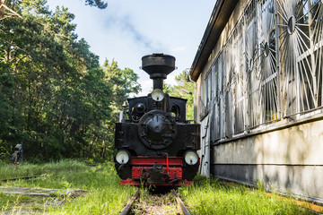 Kleine Dampflokomotive, Schmalspurbahn, Deutsche Dampflokomotive, Parkbahn im Wald, Feldbahnen im Wald