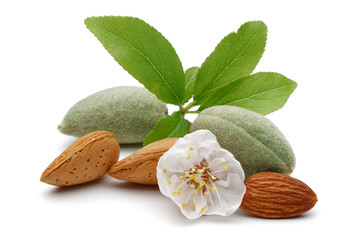 Almond