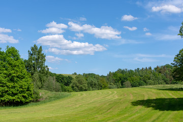 Fototapeta na wymiar Fresh cut green field in spring ringed by trees