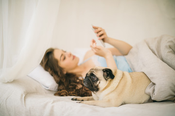 Chatting in bed with mobile phone and small pug dog. Relaxed sunny weekend morning in bed with pet