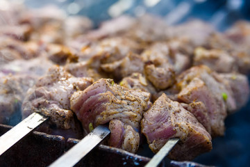Close-up shashlik or barbeque on skewers