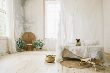 Sunny Skandinavian style interior bedroom. Wooden floor, natural materials, dog pug sitting on the bed